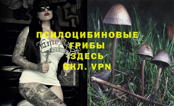 метадон Гусь-Хрустальный