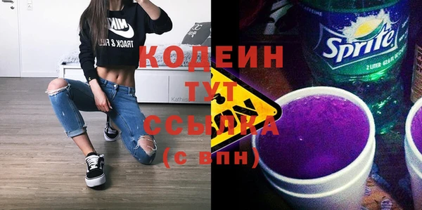 метадон Гусь-Хрустальный