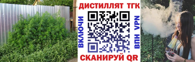 ТГК гашишное масло  где продают   маркетплейс наркотические препараты  Электросталь 