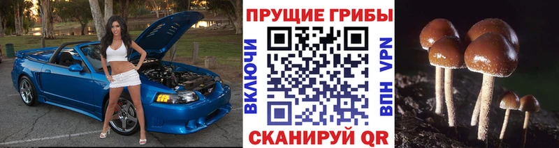 Галлюциногенные грибы MAGIC MUSHROOMS  Электросталь 