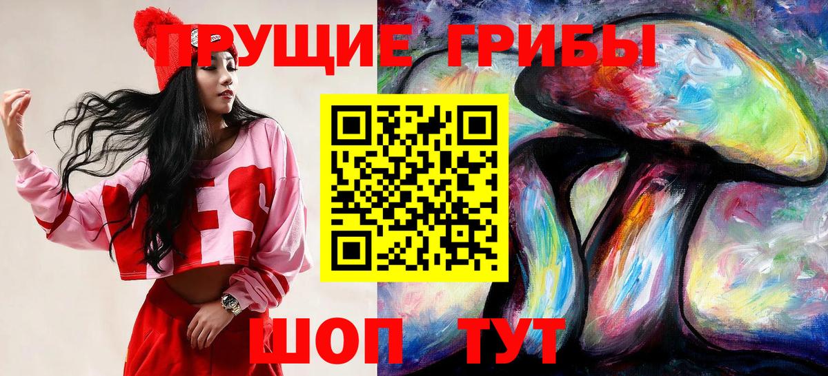Галлюциногенные грибы Psilocybe  купить  цена  Электросталь  Вход с VPN 