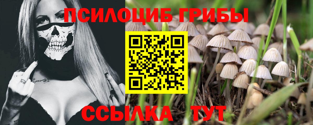 Псилоцибиновые грибы Cubensis Электросталь